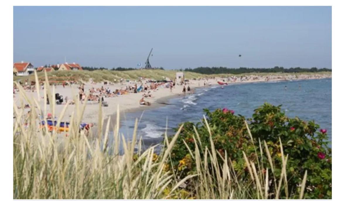 Skon Villalejlighed I Skagen Med Terrasse Og Taet Pa Centrum 외부 사진